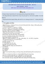 Đề thi học kì 1 Sinh 10 Kết nối tri thức - Đề số 13